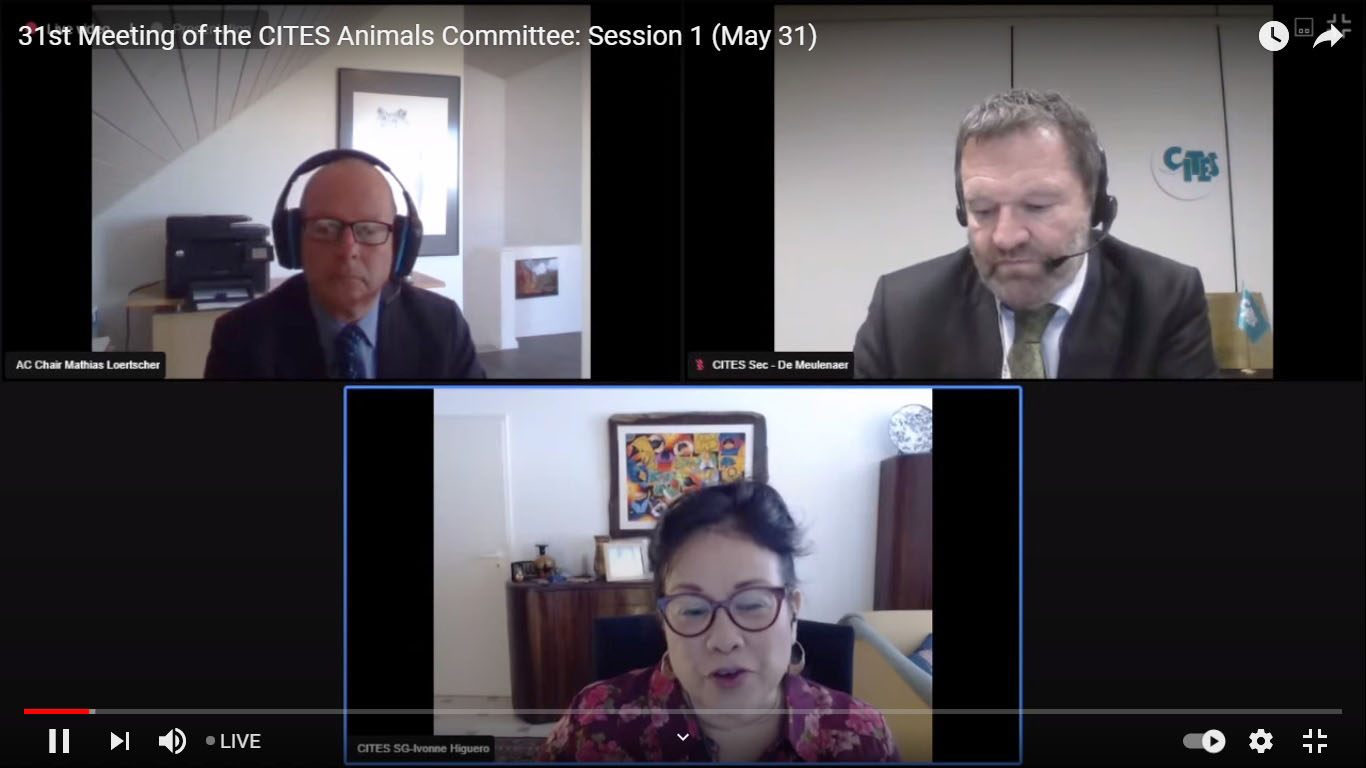 SEAFDEC participates in the Thirty-first Meeting of the Animals Committee –  SEAFDEC